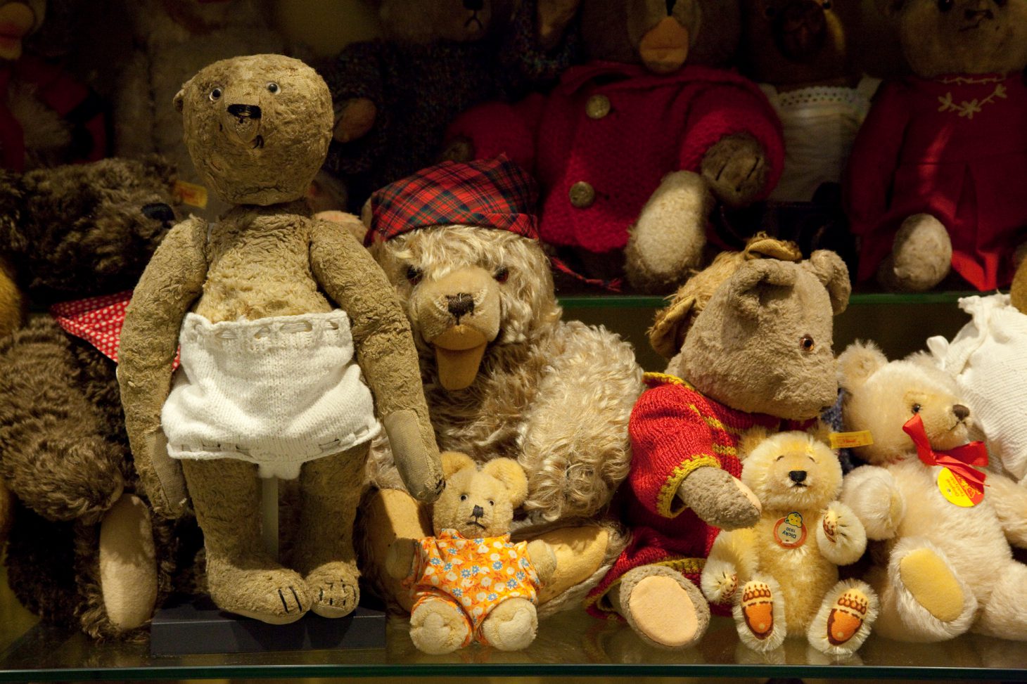 Teddybären in einer Vitrine