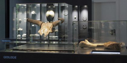 Archäologische Objekte in der Ausstellung