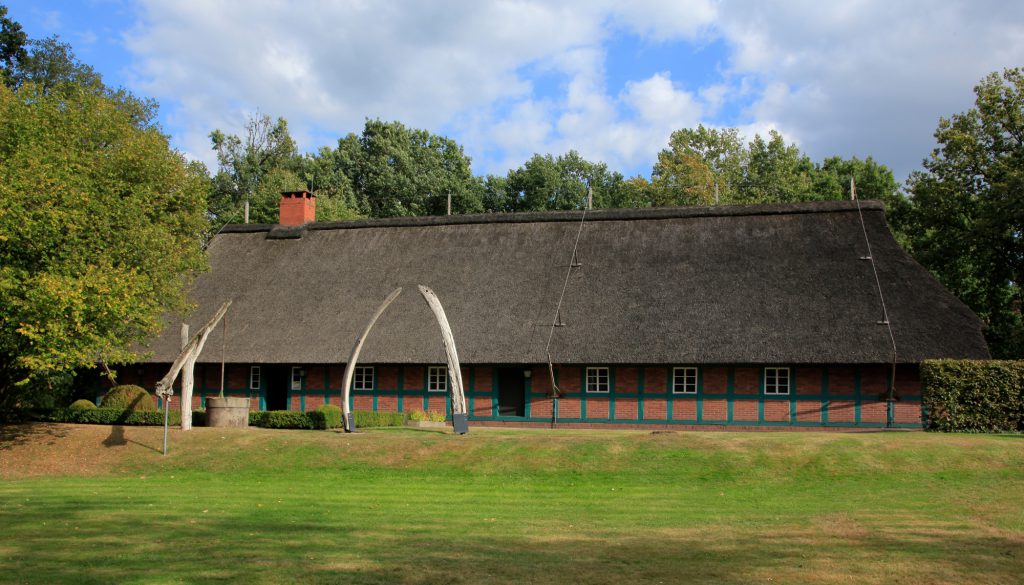 Blick vom Park aufs Bauernhaus. Zu sehen ist das reetgedeckte Haus mit den Walkiefern und dem Bauerngarten davor.