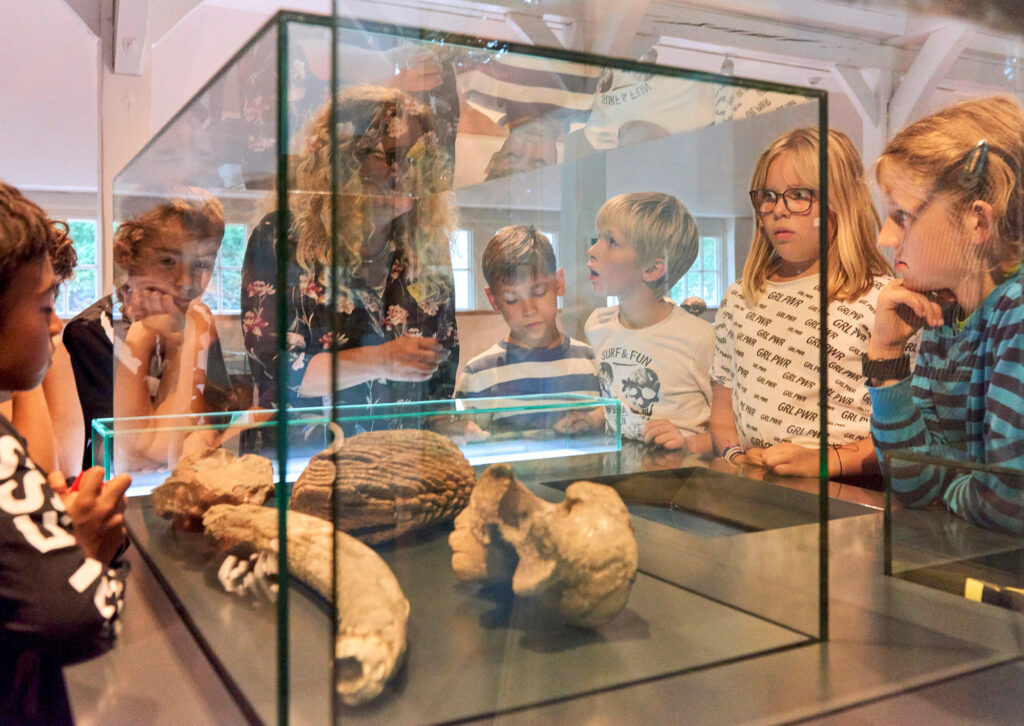 Kinder und Erwachsene schauen in eine Vitrine mit Knochen in der archäologischen Ausstellung