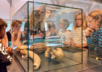 Kinder und Erwachsene schauen in eine Vitrine mit Knochen in der archäologischen Ausstellung